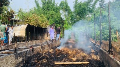 পুড়ে যাওয়া গরুর খামার (ছবি: প্রতিবেদক)