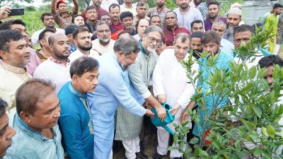 যুবলীগের বৃক্ষরোপণ কর্মসূচির উদ্বোধন করেন সাবের হোসেন চৌধুরী