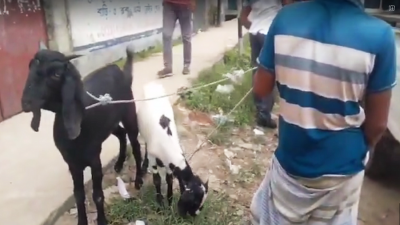 ঝিগাতলা, খিলগাঁও রেললাইন ও পলাশি মোড় এলাকায় ৩টি আলাদা ভ্রাম্যমাণ আদালত পরিচালনা করে ডিএসসিসি