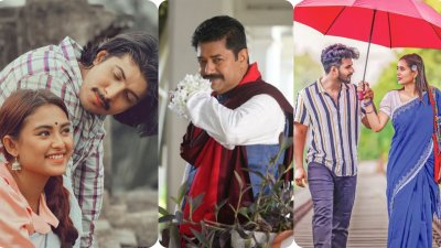 নয়নতারা, অবিরাম দেবদাস ও যে পাখি ঘর বোঝে না