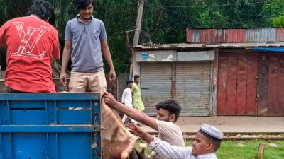 চামড়া সংগ্রহ করে গাড়িতে তুলছেন