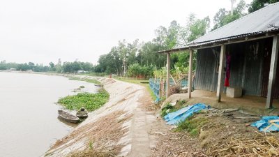 বাঙালি নদীর ৩০০ মিটার ডান তীর সংরক্ষণের কাজ সম্পন্ন করেছে পাউবো (ছবি: বাংলা ট্রিবিউন)
