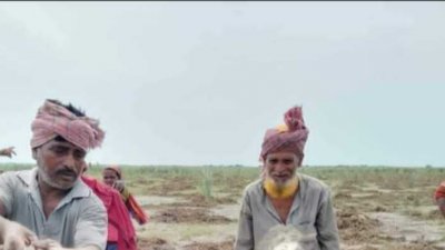 উপজেলার হাবাসপুর ইউনিয়নের শাহামীরপুর গ্রামে পদ্মার চরে এ ঘটনা ঘটে