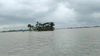 তৃতীয় দফায় জেলার সব কটি উপজেলা বন্যা আক্রান্ত হয়েছে (ছবি: বাংলা ট্রিবিউন)