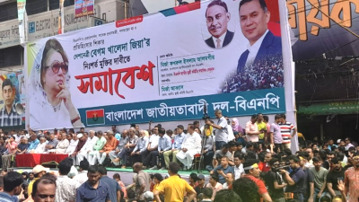 বিএনপির নয়াপল্টন কার্যালয়ের সামনে সমাবেশ (ফাইল ছবি)