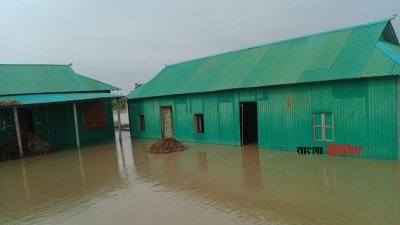 কুড়িগ্রামের উলিপুর উপজেলার বেগমগঞ্জ ইউনিয়নে ব্রহ্মপুত্র নদের মধ্যবর্তী পশ্চিম মশালের চর গ্রামের ‘মশালের চর সরকারি প্রাথমিক বিদ্যালয়’। শনিবার দুপুরে তোলা ছবি।