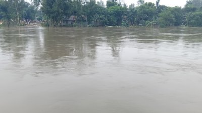 কয়েকদিনের টানা বর্ষণের ফলে নদীর পানি বাড়তে শুরু করেছে (ছবি: বাংলা ট্রিবিউন)