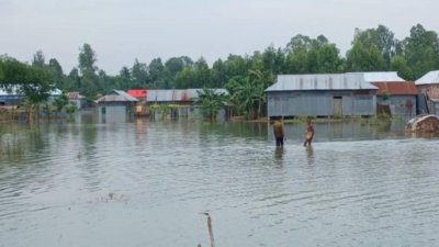 জামালপুরে বন্যা পরিস্থিতির আরও উন্নতি হয়েছে