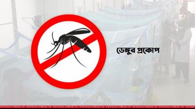ডেঙ্গুর মৌসুমে সচেতনতা জরুরি। ফাইল ছবি
