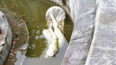 ভাস্কর্যটি ভেঙে পানিতে ফেলে দেওয়া হয়