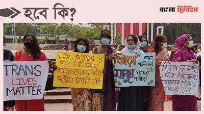 সরকারি নথিতে তাদের বলা হয় হিজড়া