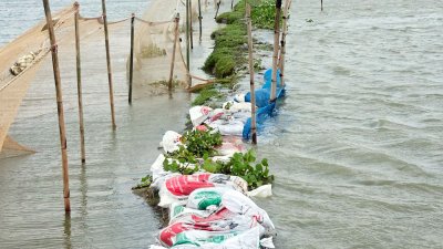 মিরসরাইয়ে বন্যার পানিতে তলিয়ে গেছে মাছের ঘের