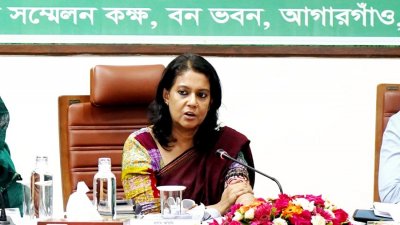 পরিবেশ ও বন উপদেষ্টা সৈয়দা রিজওয়ানা হাসান (ফাইল ছবি)