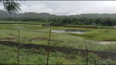 মেরিন ড্রাইভে সাবেক স্বরাষ্ট্রমন্ত্রীর ছেলের কেনা জমি।