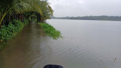 চাষের মাছ ভেসে খাল-বিলে ছড়িয়ে পড়েছে