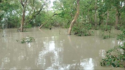 প্লাবিত হয়েছে সুন্দরবন