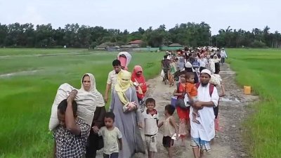 বাংলাদেশে প্রবেশ করছে রোহিঙ্গারা (ছবি: সংগৃহীত)