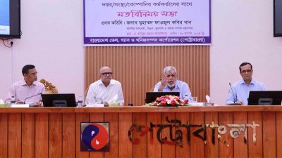 বক্তব্য রাখছেন বিদ্যুৎ ও জ্বালনি বিষয়ক উপদেষ্টা মুহাম্মদ ফাওজুল কবির খান