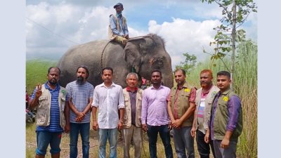 উদ্ধার করা হাতি ও আটক মাহুতের সঙ্গে বন কর্মকর্তারা