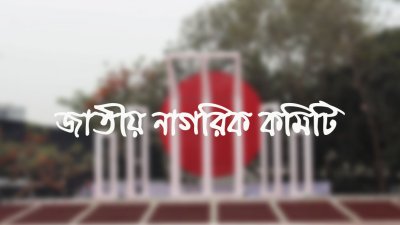 জাতীয় নাগরিক কমিটি