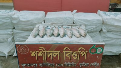 উদ্ধার করা ইলিশ (ছবি: বাংলা ট্রিবিউন)