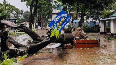 লাইনের ওপর গাছ পড়ায় বিদ্যুৎ সরবরাহ বন্ধ রয়েছে