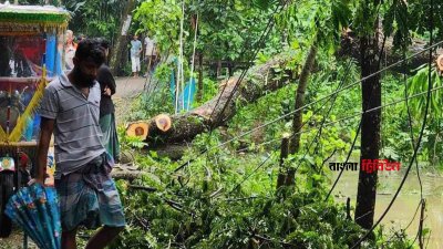 ঝড়-বৃষ্টিতে গাছ উপড়ে এবং বিদ্যুতের খুঁটি ভেঙে দক্ষিণ-পশ্চিমাঞ্চলের ২১ জেলার মধ্যে আট জেলায় বিদ্যুৎ সরবরাহ বিঘ্নিত হচ্ছে