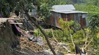 নদে বিলীন হচ্ছে গাছপালা ও ঘরবাড়ি (ছবি: বাংলা ট্রিবিউন)