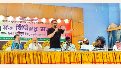 পল্লবী রূপনগর থানা বিএনপি ও অঙ্গ-সহযোগী সংগঠনের নেতাকর্মীদের সঙ্গে মতবিনিময় সভায় প্রধান অতিথি ছিলেন আমিনুল হক
