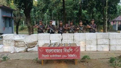 জব্দকৃত ইলিশ (ছবি: বাংলা ট্রিবিউন)