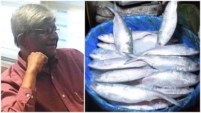 সরকারের সর্বোচ্চ পর্যায়ের সিদ্ধান্তেই ইলিশ রফতানি করা হচ্ছে বলে জানিয়েছেন অর্থ ও বাণিজ্য উপদেষ্টা ড. সালেহউদ্দিন আহমেদ