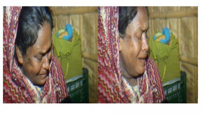 কাঁদছেন নিহত শাহাদাত হোসেনের মা দিলোয়ারা বেগম