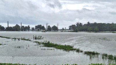 তলিয়ে গেছে ফসলি জমি ভেসে গেছে মৎস্যঘের