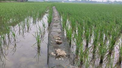 বেশির ভাগ জেলে বর্তমানে এ জাল ব্যবহার করছেন