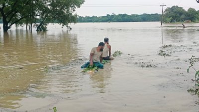 বন্যায় ভেসে যাওয়া মাছের খামার