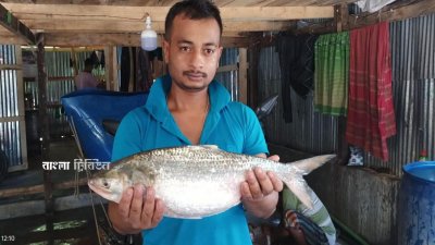 স্থানীয় জেলে আলমাসের জালে দুই কেজি ২৮০ গ্রাম ওজনের ইলিশটি ধরা পড়ে