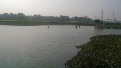 বিলে গোসলে নেমে দুই বোনের মৃত্যু