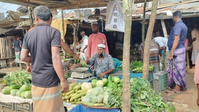 পটুয়াখালীর উপকূলের মৎস্য বন্দর আলীপুর কাঁচাবাজার
