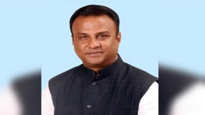 শাহীন চাকলাদার (ফাইল ছবি)