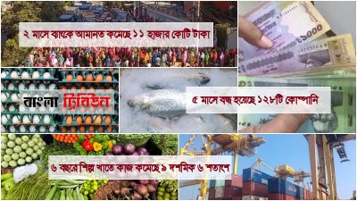 ১১ মাসের মধ্যে সর্বনিম্নে নেমেছে বেসরকারি খাতে ঋণের প্রবৃদ্ধি