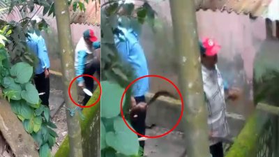 অস্ত্র হাতে বিজিবির সাবেক সদস্যের বাড়িতে হামলা