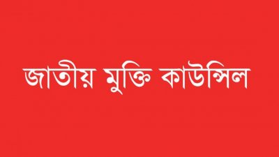 জাতীয় মুক্তি কাউন্সিল