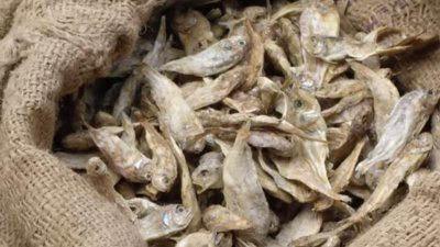ভারত থেকে আসা শুঁটকি