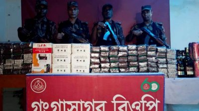 বিজিবির হাতে জব্দ চোরাই পণ্য ও মাদক (ফাইল ফটো)