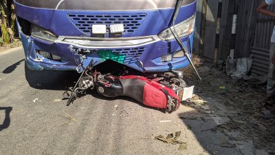 গাছ কিনতে দুই ভাই একসঙ্গে বের হয়েছিলেন