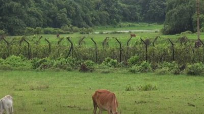 সীমান্ত/ফাইল ছবি