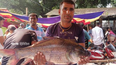 শিবগঞ্জে উৎসবমুখর আয়োজনে জমে উঠেছে নবান্ন উৎসব উপলক্ষে শত বছরের ঐতিহ্যবাহী জামাই মেলা