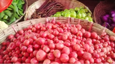 বাজারে ওঠা নতুন আলু
