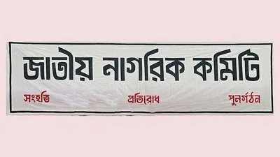 জাতীয় নাগরিক কমিটি