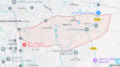 ভাইকদিয়ার মাছের ঘেরে অভিযান চালিয়ে খালি ম্যাগজিনসহ একটি পিস্তল উদ্ধার করা হয়